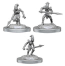 D&D : Nolzur's - Monster (2-Pack)