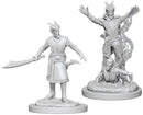 D&D : Nolzur's Player Character - Tiefling (2-Pack)