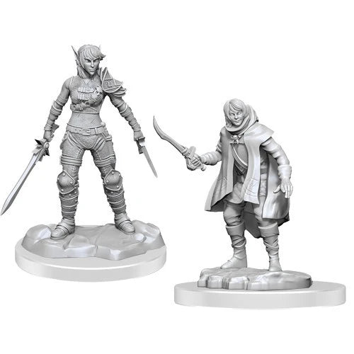 Nolzur's | Elf Rogue